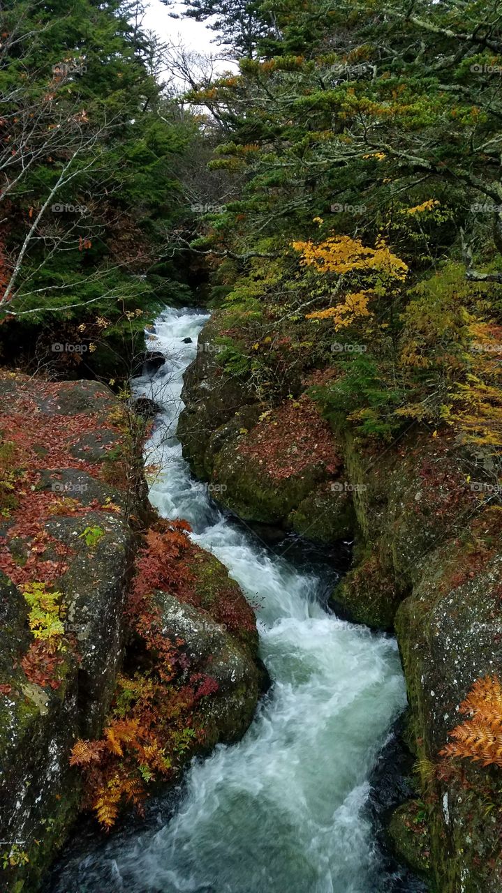 Water streams