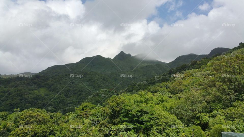Peaceful views from a tower in El Yunque rainforest in Puerto Rico