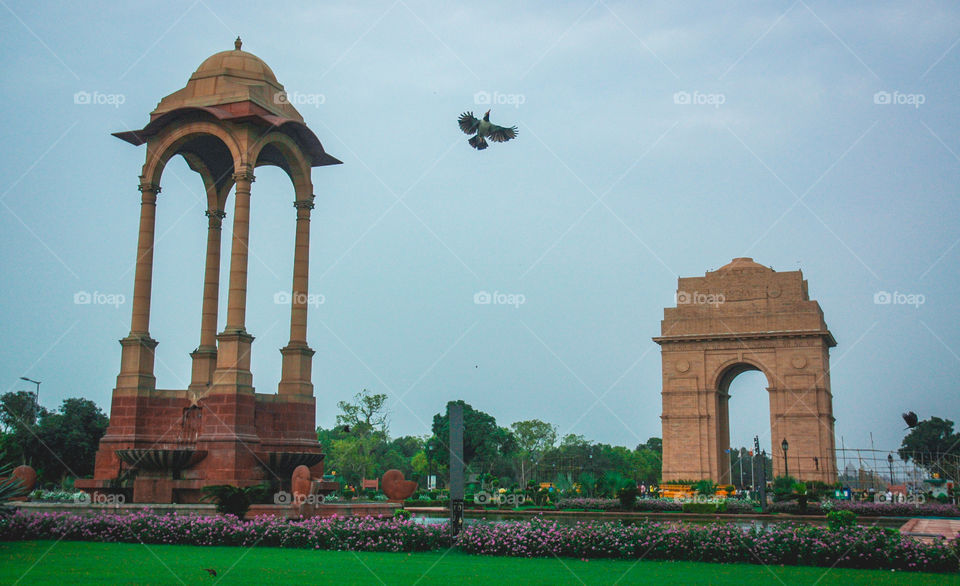 Colorful india gate and the lawn with the bird flying in the middle which makes the photo look perfect