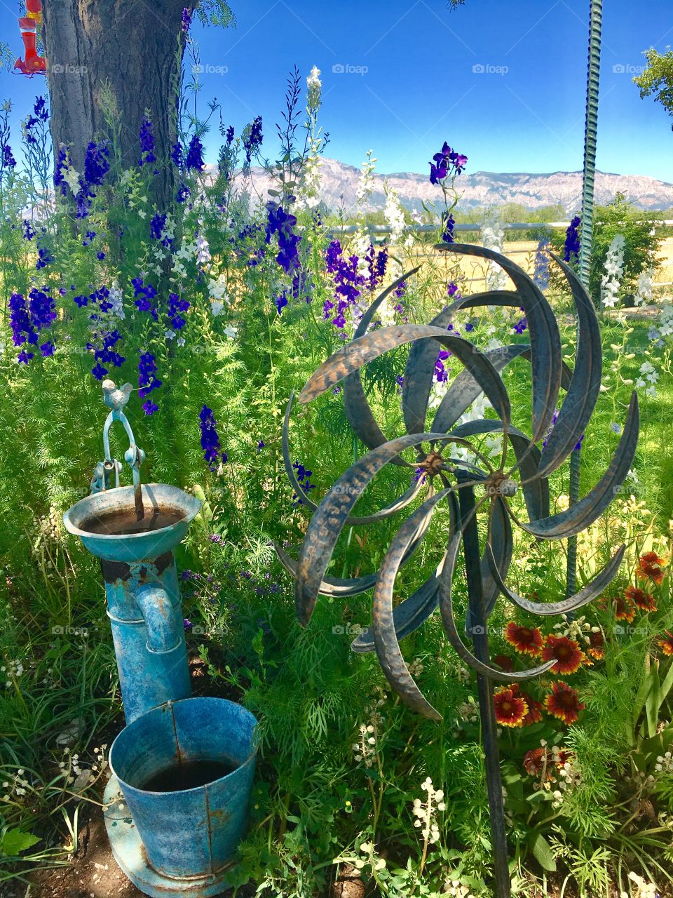 Grandma's flower garden. Birdbath. Coming bird feeder. Windmill. Blue sky. Beautiful wildflowers. Perfect garden. Wonderful view.