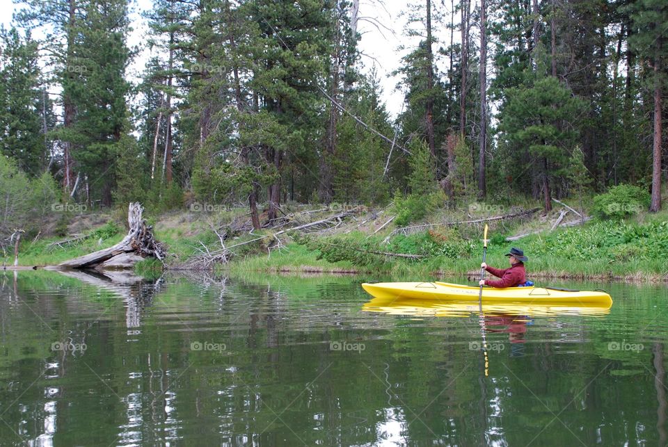 Water, Wood, Nature, Lake, Canoe