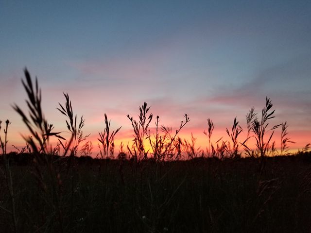 Airport Summer Sunset