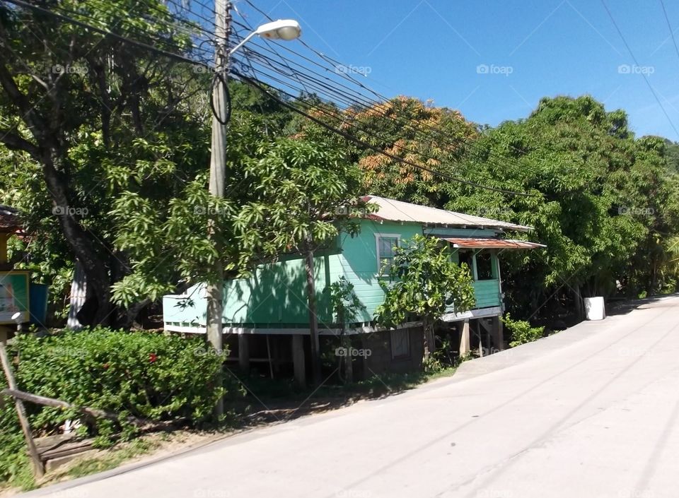 Photo from moving car traveling in Roatan, Honduras