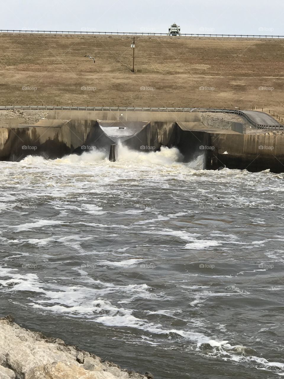 Oologah Dam, Oologah, Oklahoma flood gates water release winter January with birds seagulls searching for bait fish.
