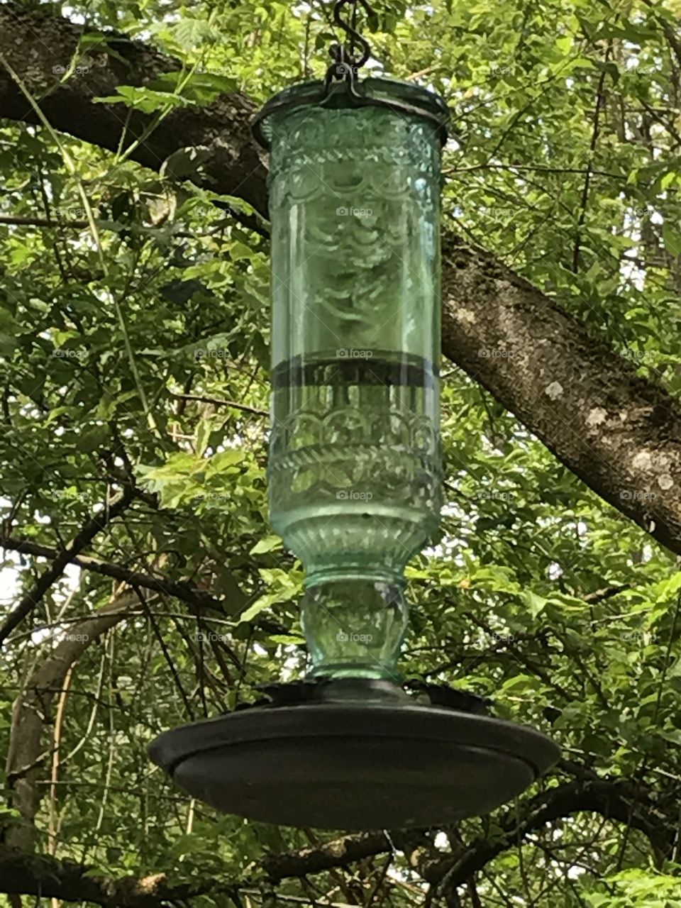 Hummingbird feeder, forest background