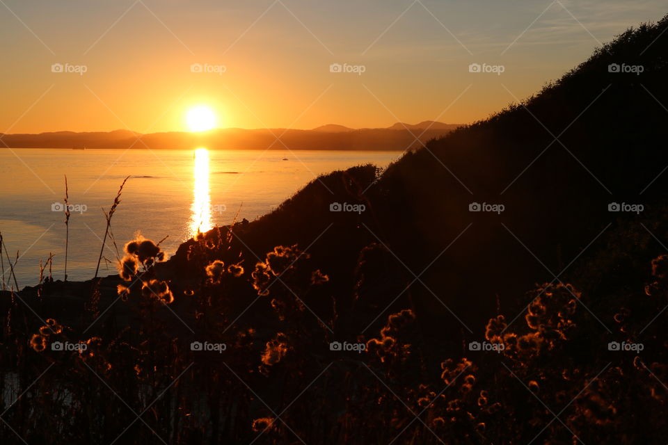 Late summer sunset, golden light casted on the already dried flowers and grass on the coastal hill .. Very calm Pacific glowing ...