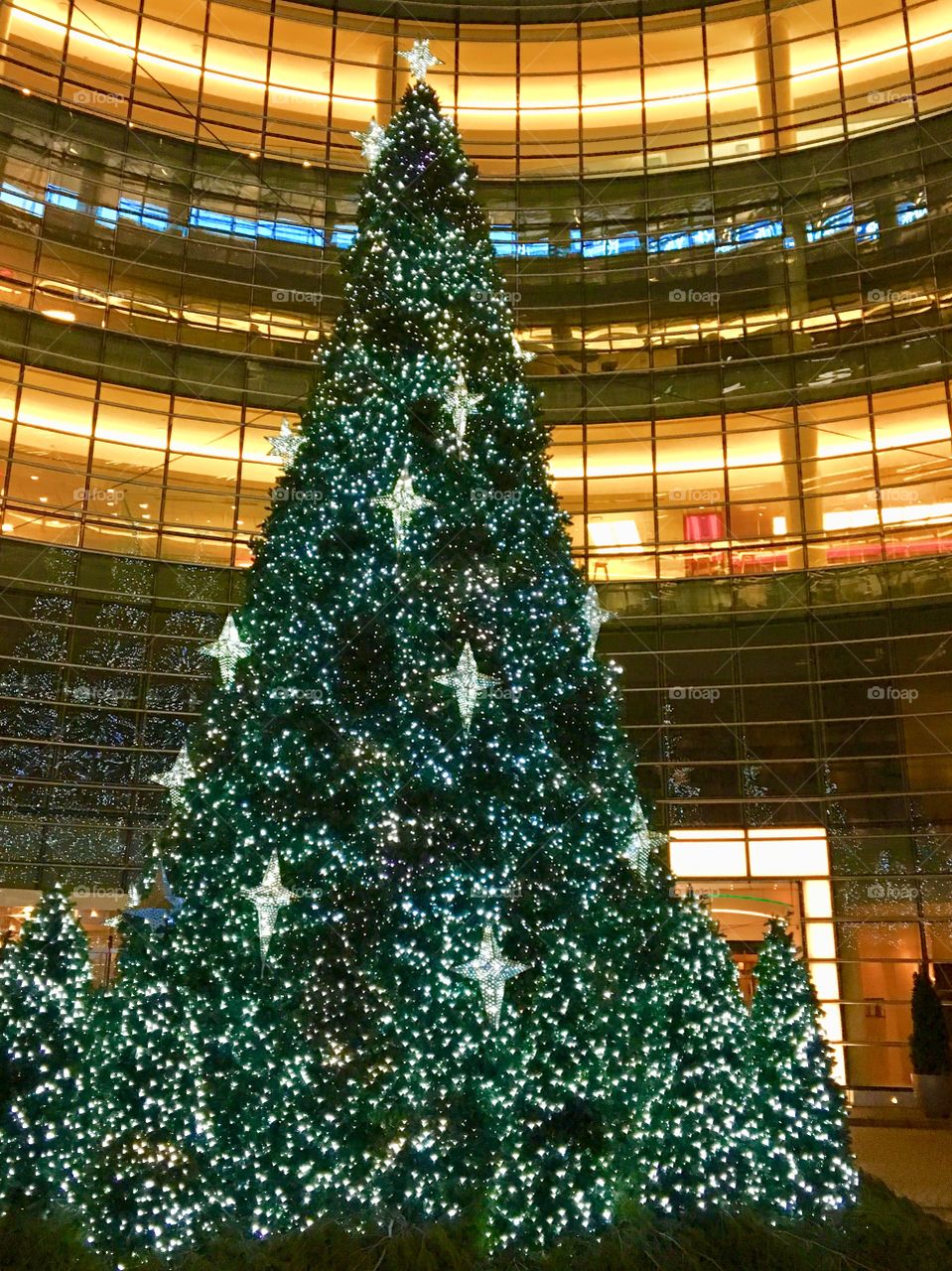 Christmas tree at Le Cirque in New York City