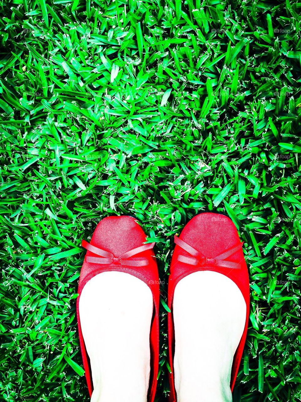 Red Shoes Green Grass