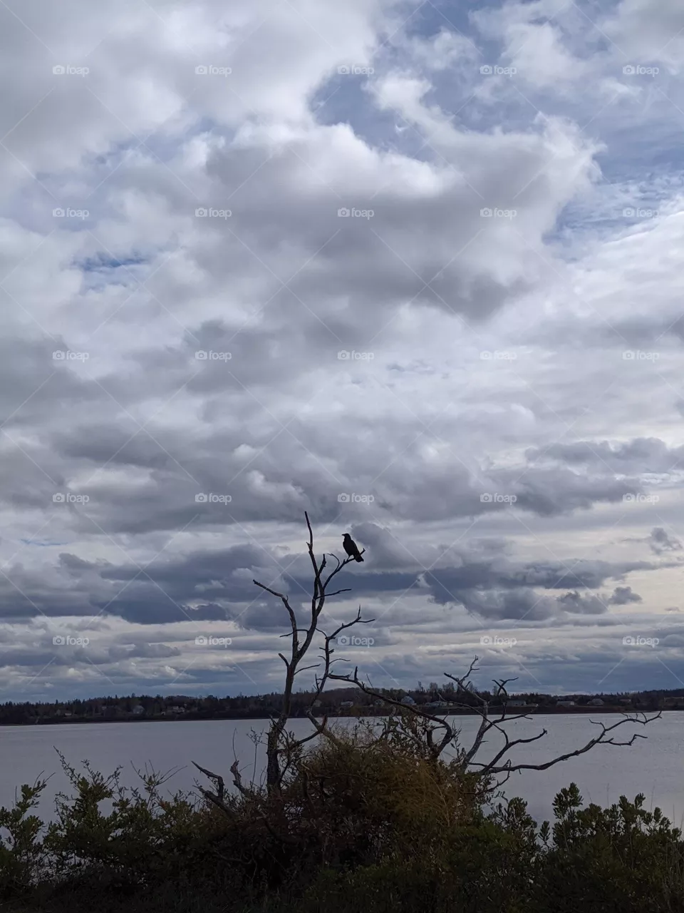 Dark clouds