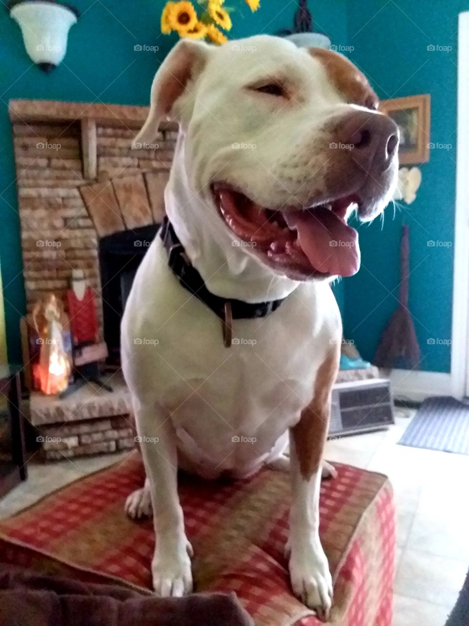 I kinda like this footstool