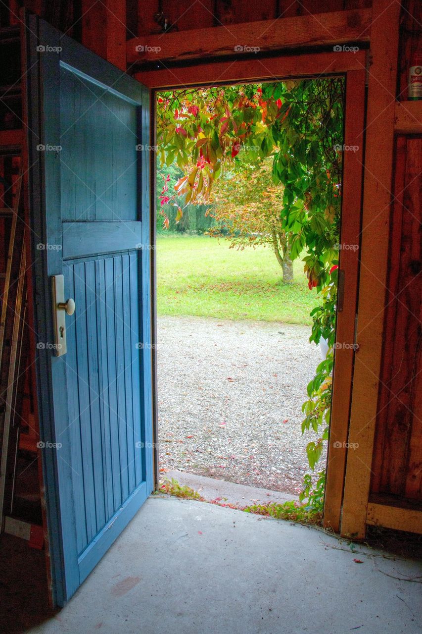 View of an open door