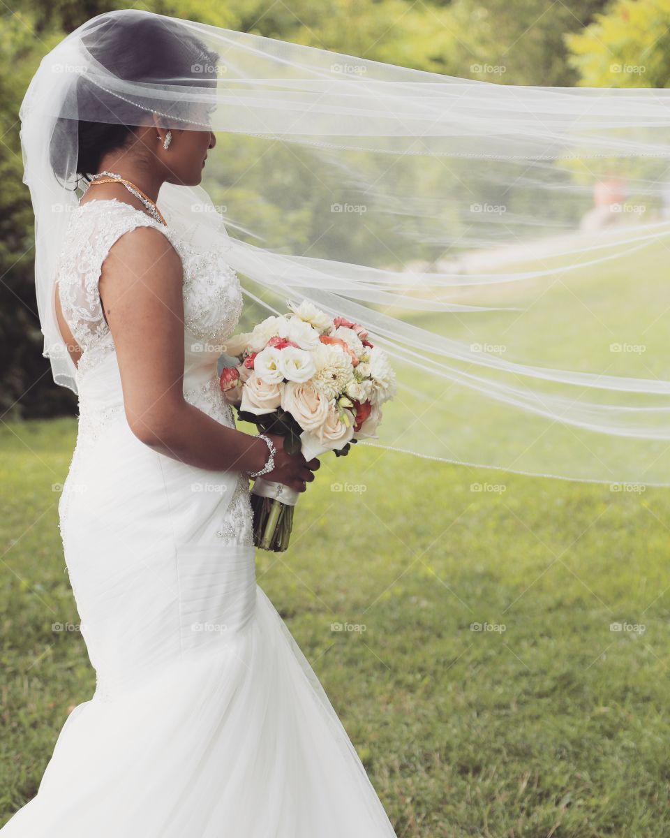 Wedding, Veil, Bride, Dress, Groom