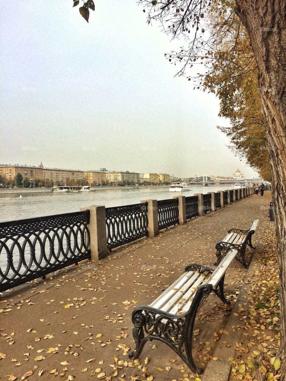 A bench in the park, Moscow, Russia