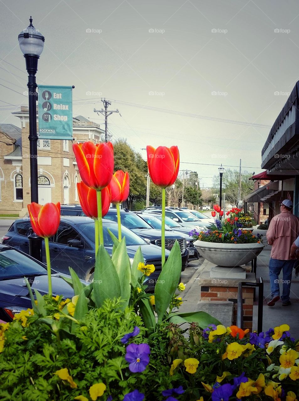 Flower Pots in the City