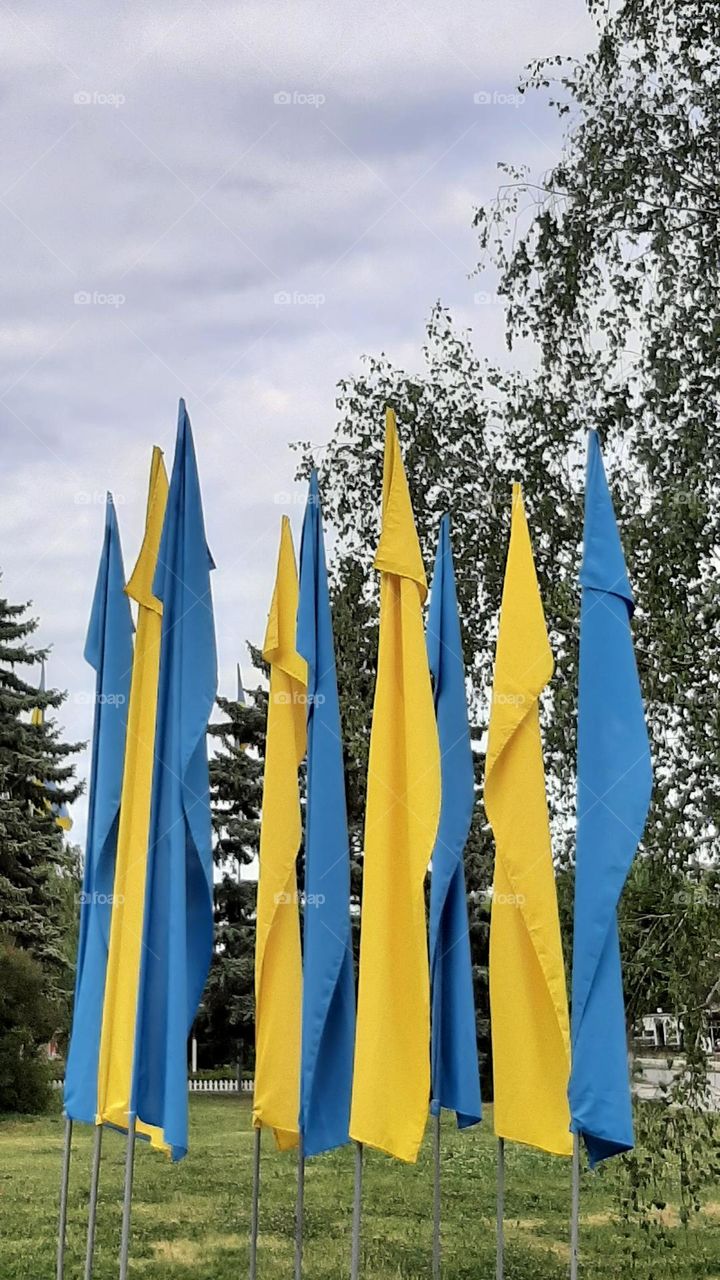 Ukrainian flag