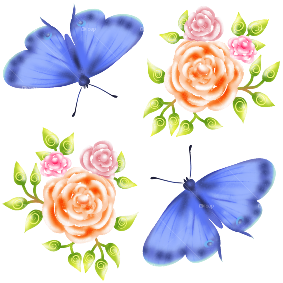 Pink roses and blue butterfly