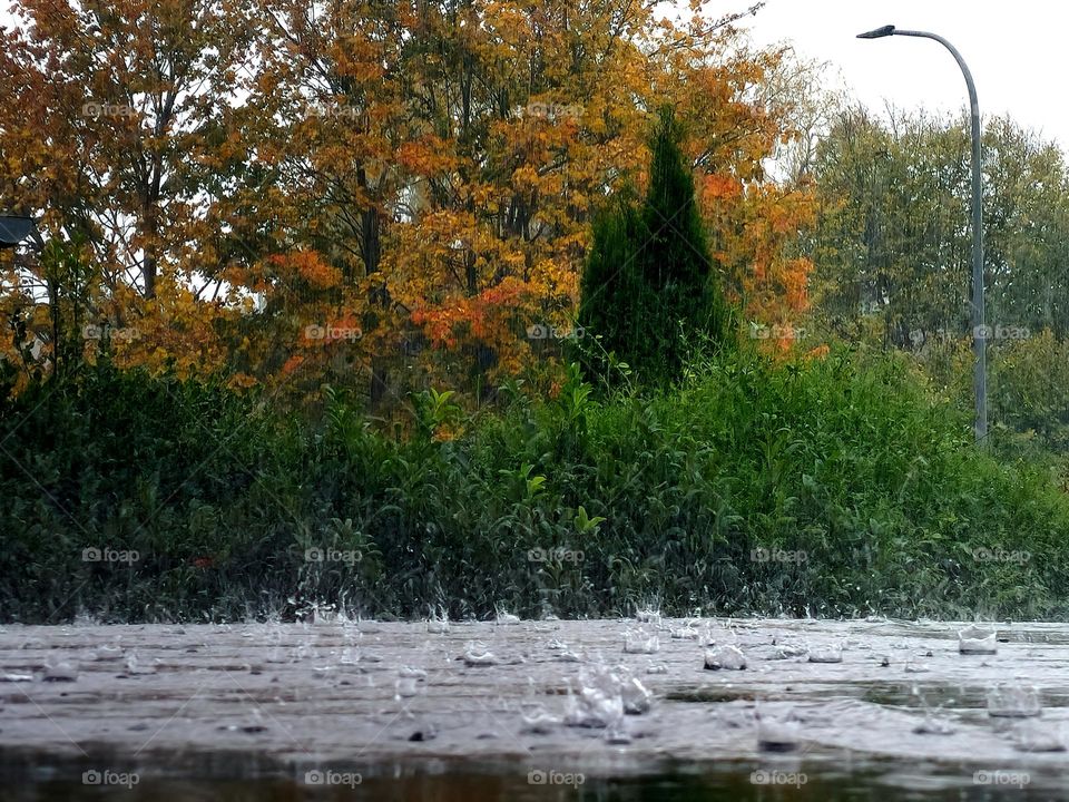 autumn rain