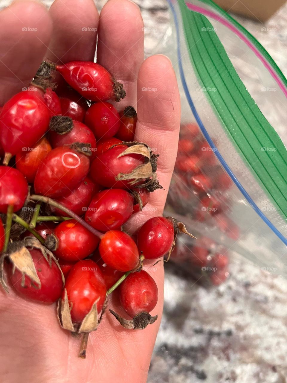 Collecting rose hips in the fall gives way to many homemade healthy recipe options, including anything from syrups and teas to cookies and breads 