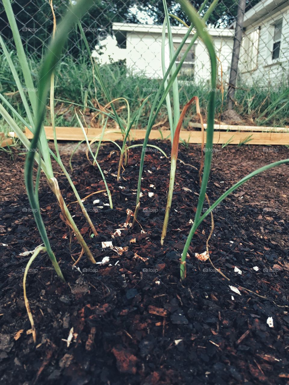 God has given us the Earth. Let us make good use of it. 