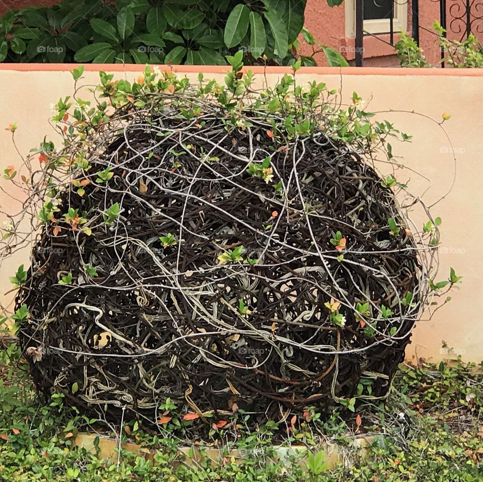 Giant ball of natural twine