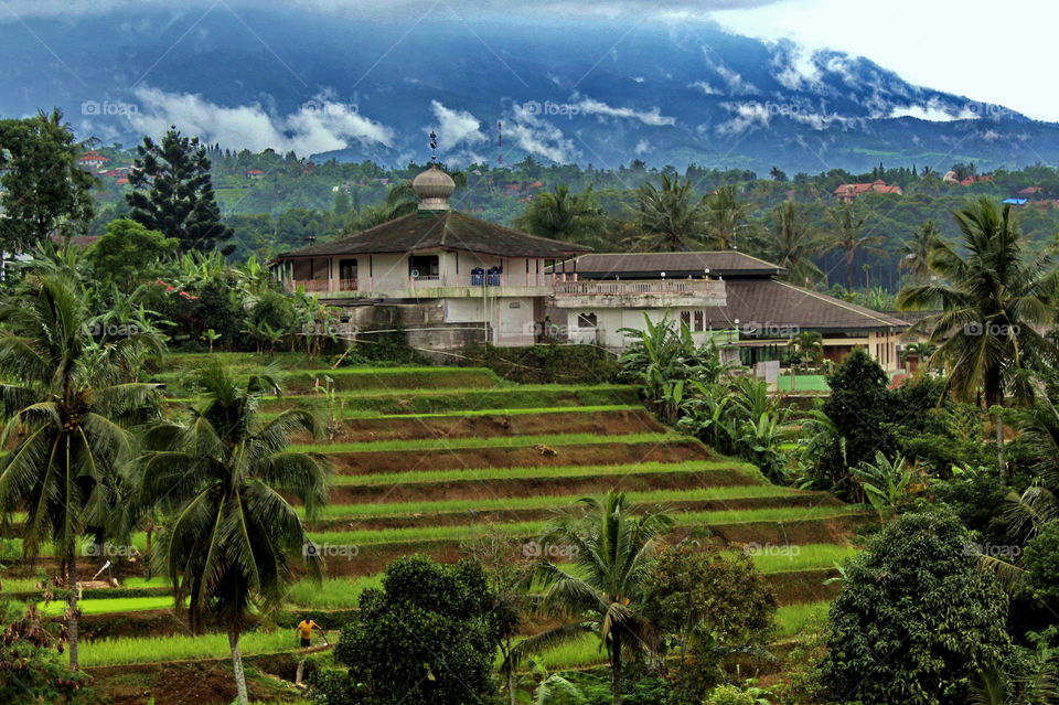 Morning view at Bogor, west Java, Indonesia.