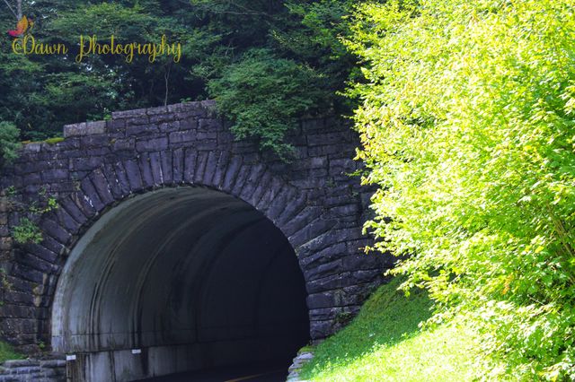 Tunnel thru the Smokies