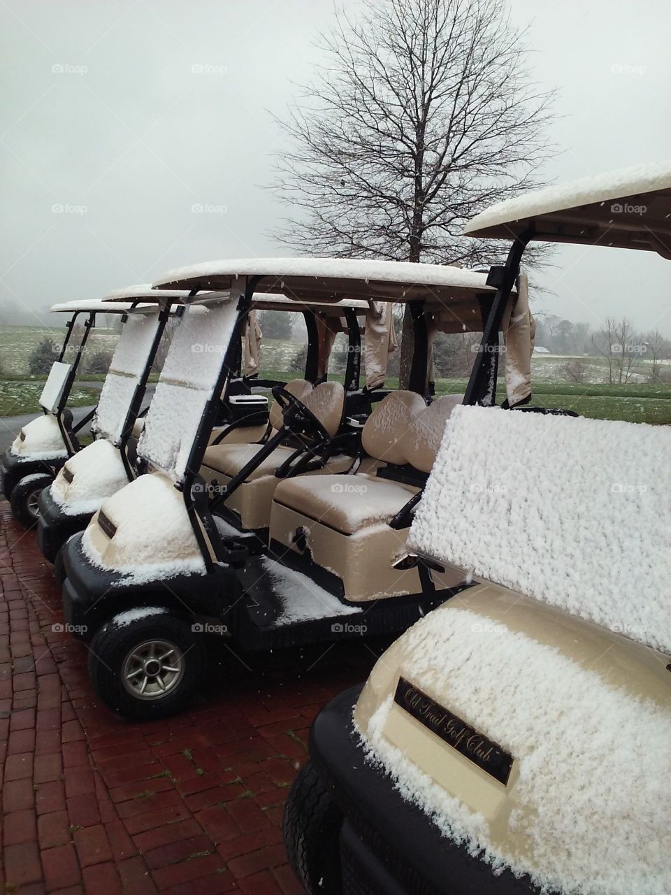 Snow dusted golf carts 