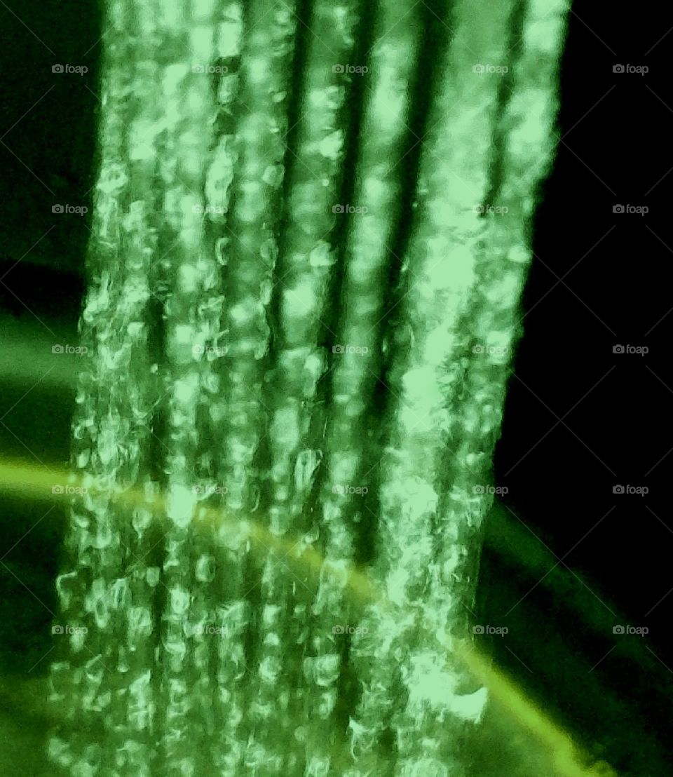 It's raining green water.