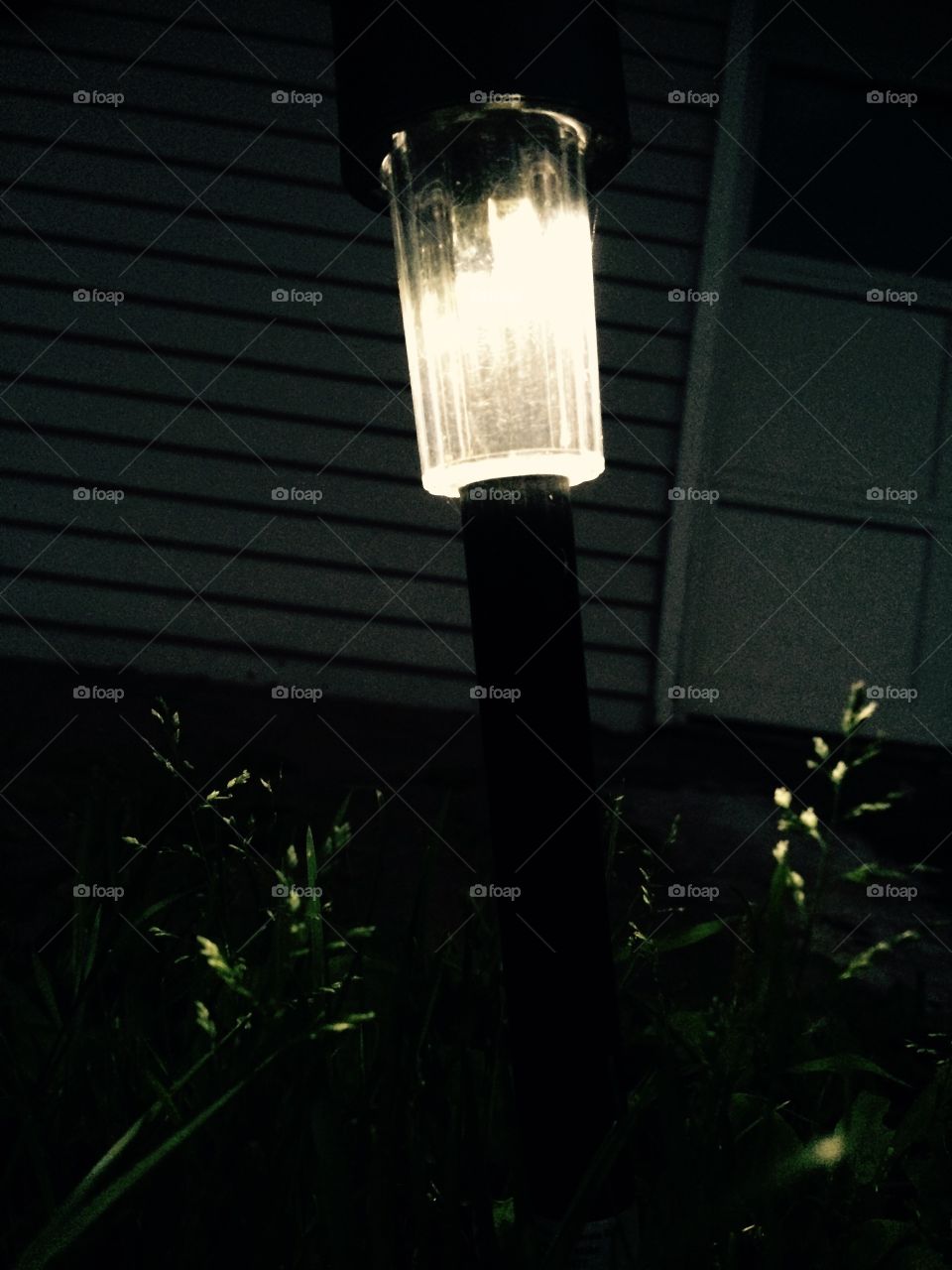Lamp light 