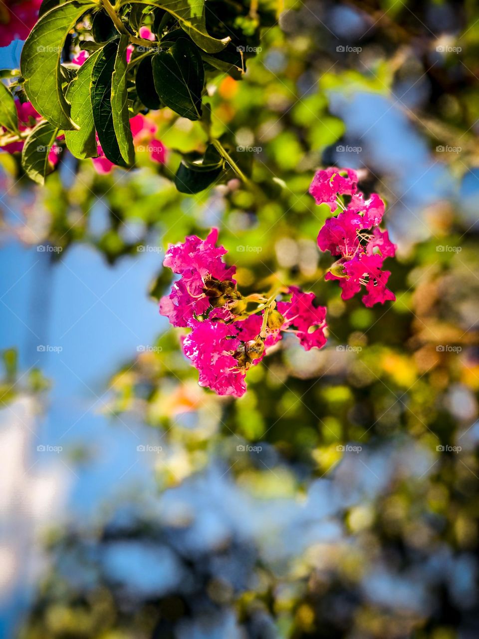 If you love nature, you will find beauty anywhere.