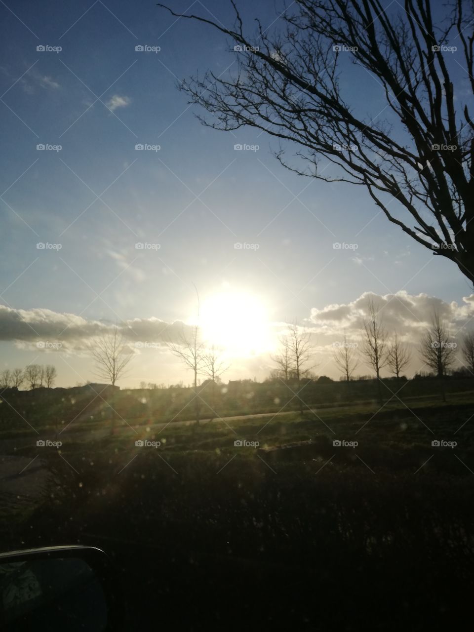 Sun in the sky