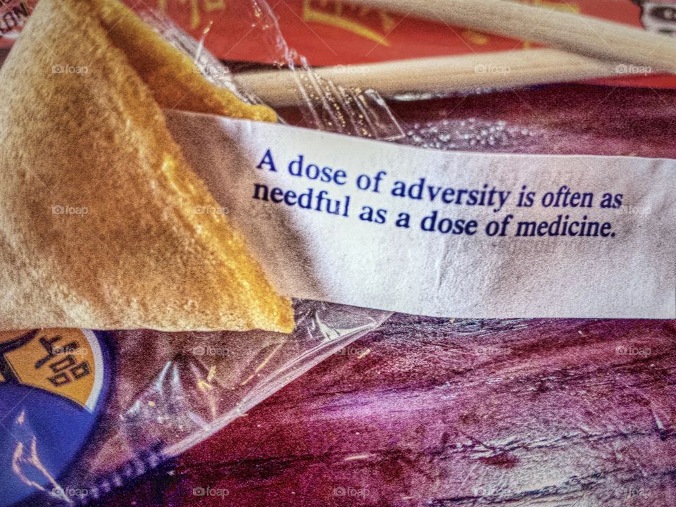 fortune cookie wisdom
