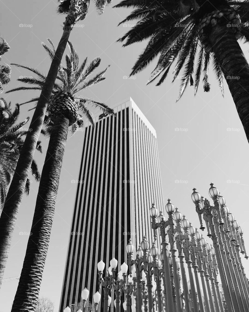 LA