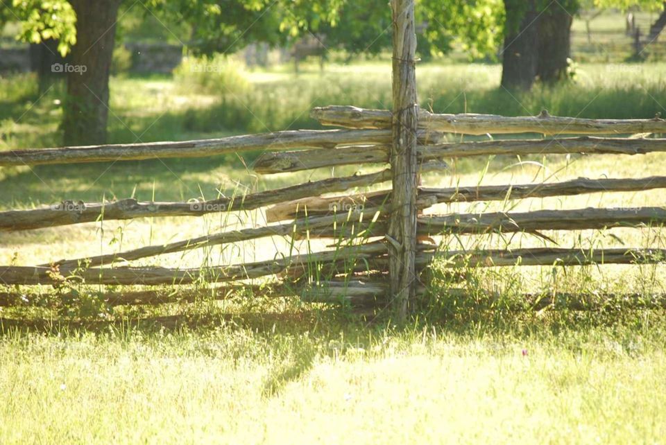 Cedar Fence