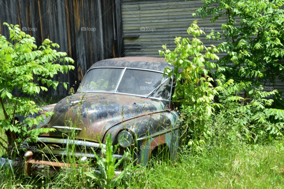 Old car and nature