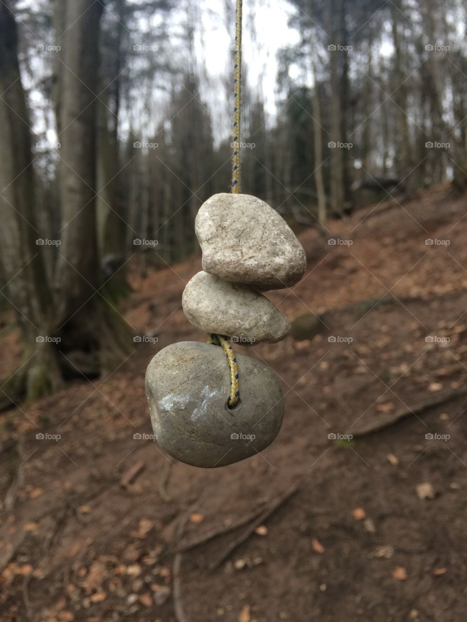 Focused on stones