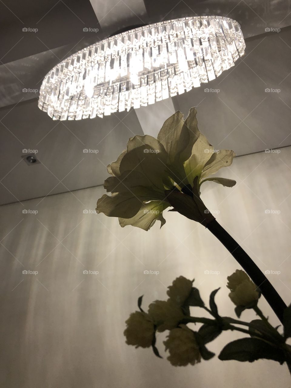 Flor com lustre aceso