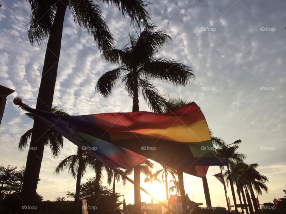 Gay parade/ rainbow flag