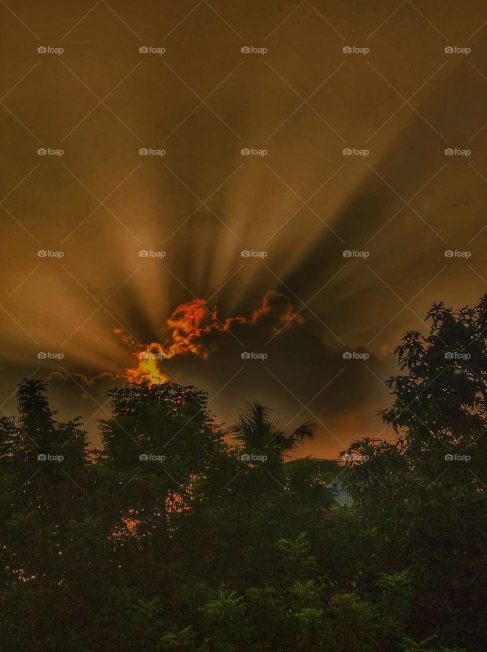 Sun before Rain -🌧