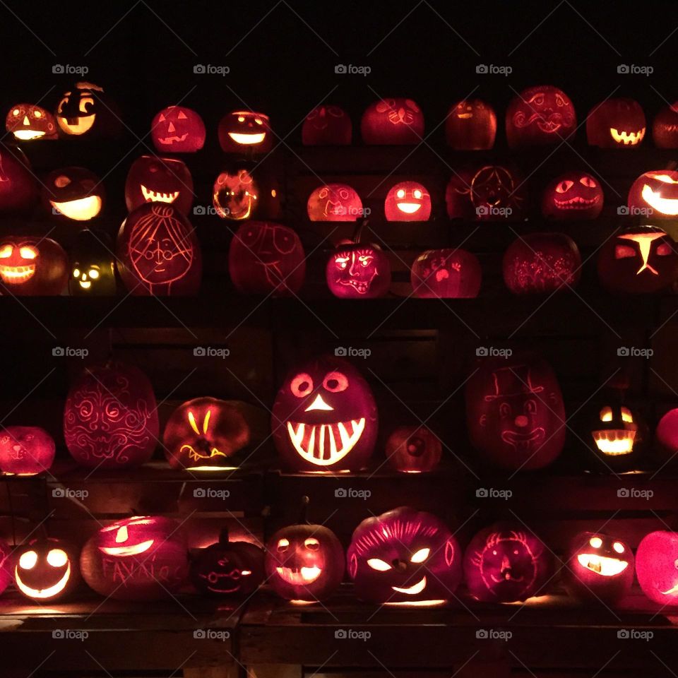 Funny pumpkins in rows on a dark background 