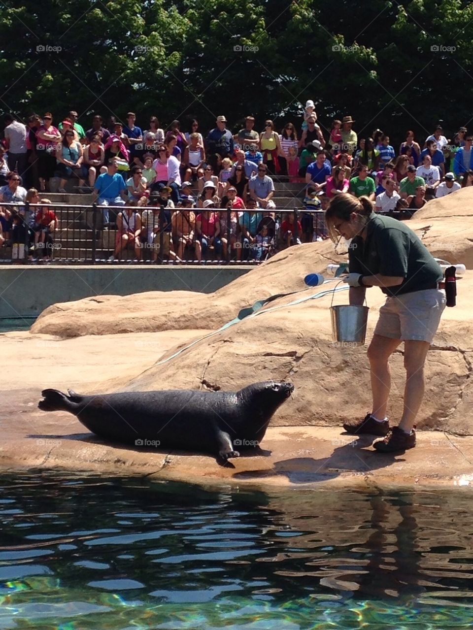 Lincoln Park Zoo