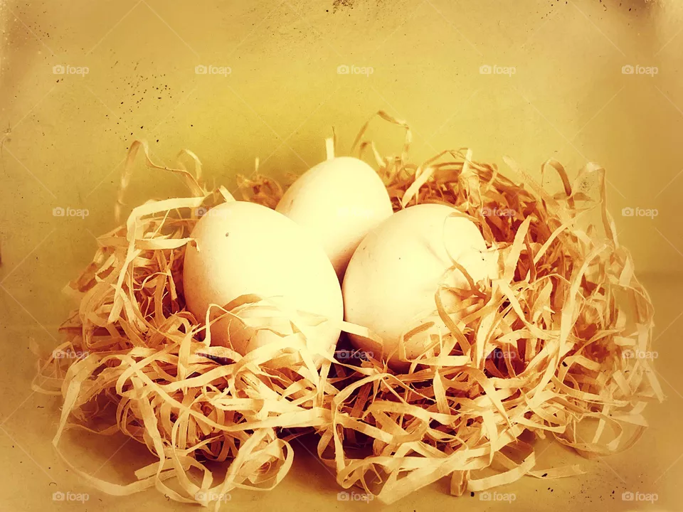 Eggs 