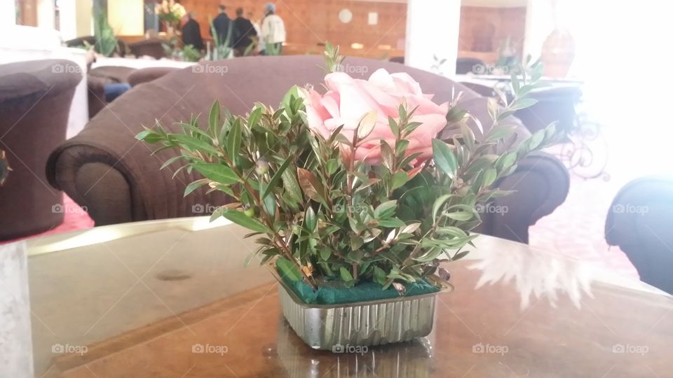 Flower in Hotel