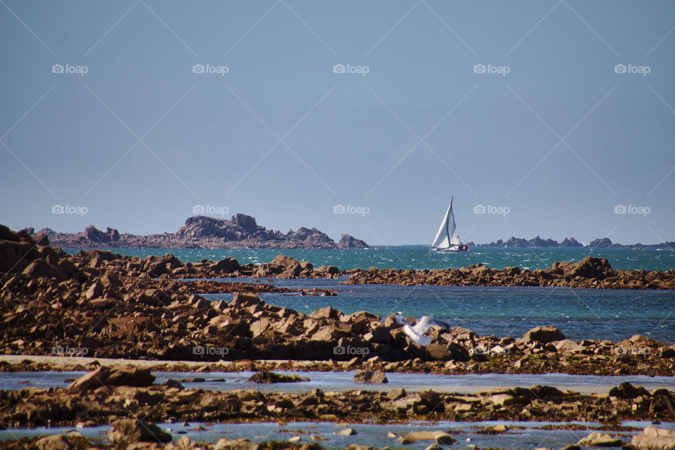 landscape with the sea