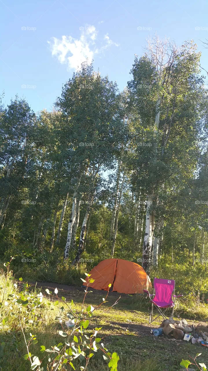 camp