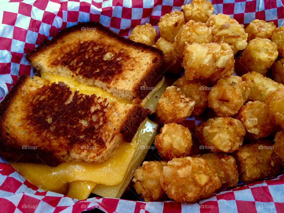 Grilled cheese and tater tots . At the Tillamook Factory in Oregon