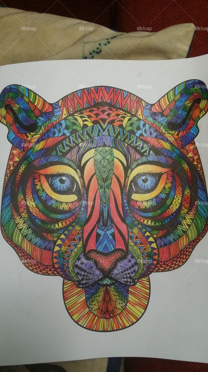 rainbow tiger adult coloring book page