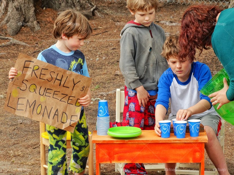 Family Lemonade Stand. Young Brothers Selling Homemade Lemonade
