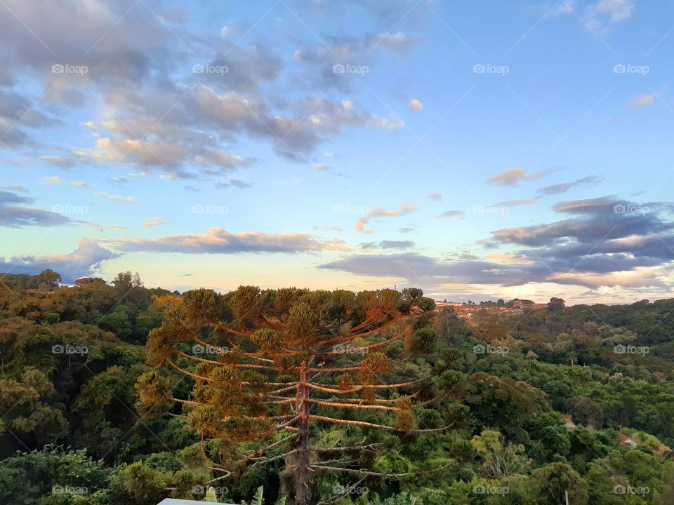 Dá minha janela tenho a cada fim do dia um espetáculo exclusivo.