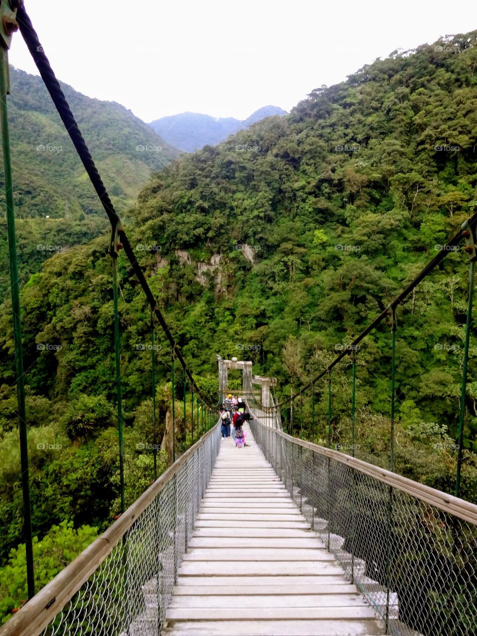 Hiking in the Amazon Basin 